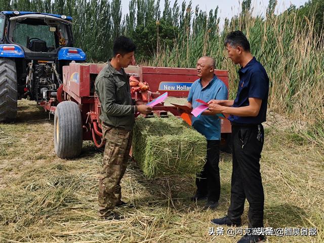 「学习贯彻省第十四次党代会精神」阿克塞县农机机械服务中心三项举措保障“夏忙”时节农机安全(图3)