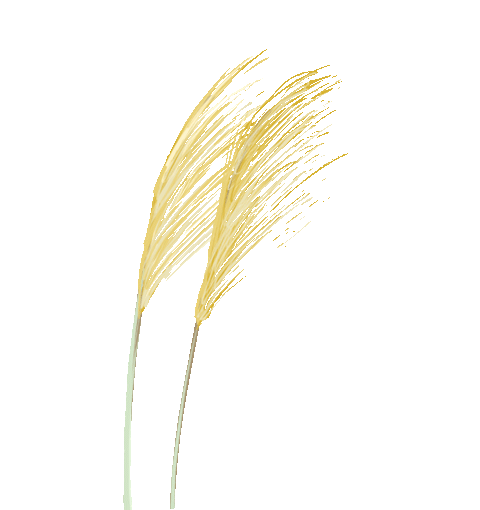 【专访】红星筛网：技术沉淀积蓄数智化力量打造智慧筛网(图2)