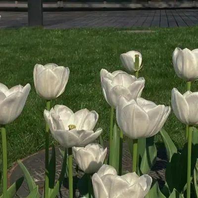 机械设计制造及其自动化的专业日常、考研方向及就业方向分享(图4) 机械设计制造及其自动化的专业日常、考研方向及就业方向分享(图4)