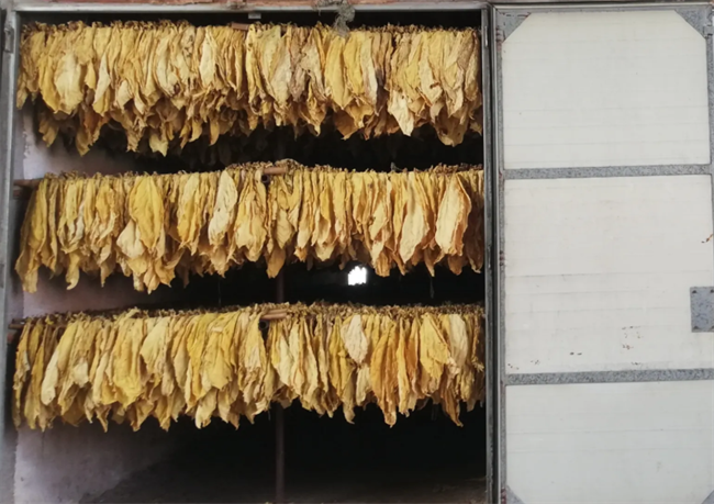 昆明新式烤烟房、烤烟烘干机哪家好？推荐云南采金烘干机厂家(图4)