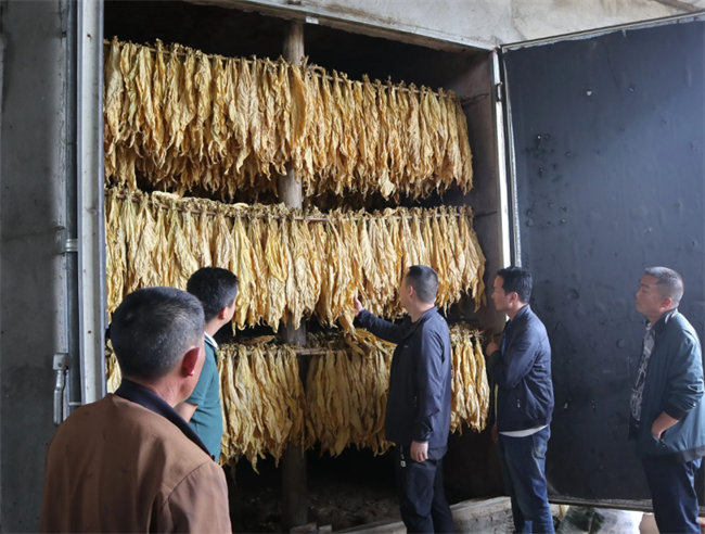 昆明新式烤烟房、烤烟烘干机哪家好？推荐云南采金烘干机厂家(图3)