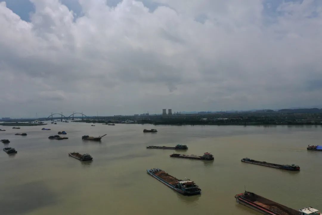 中央环保督察（十六）：广东部分出海水道出现一条条“黄泥带”，非法洗砂洗泥为何屡禁不绝？(图1)