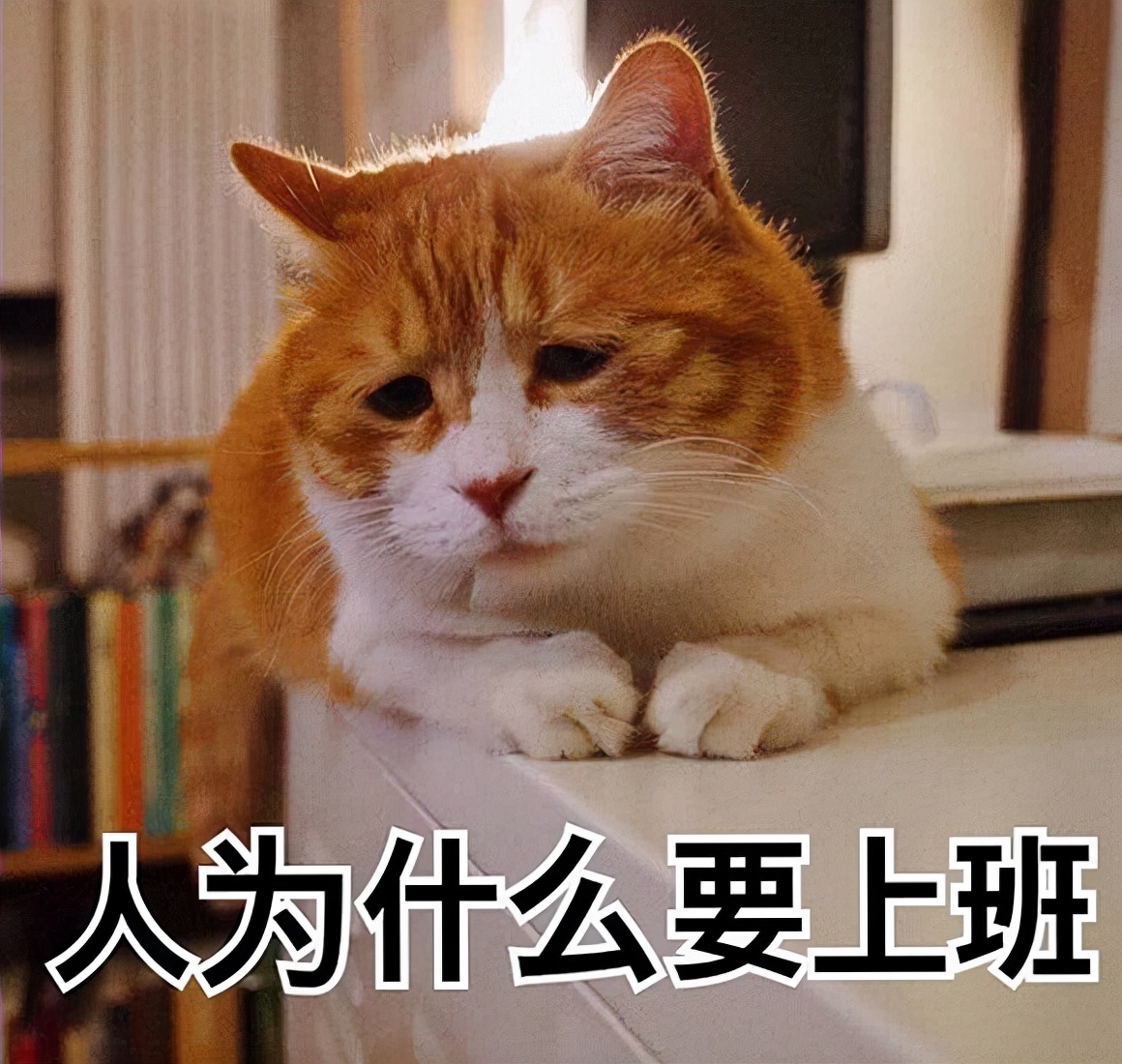 2022小型洗碗机到底怎么选?这五点让你瞬间学会(图1) 2022小型洗碗机到底怎么选?这五点让你瞬间学会(图1)