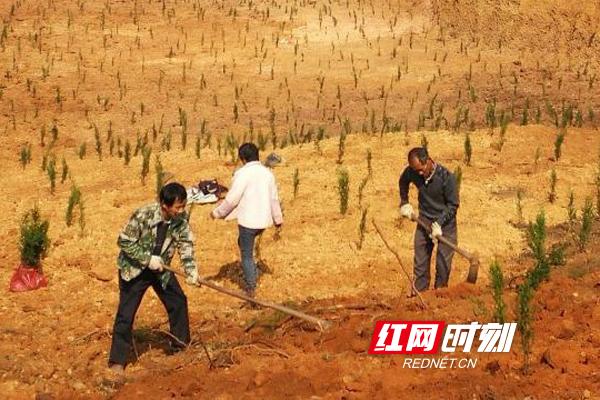 衡南铁腕整治非法采洗山砂工作(图2) 衡南铁腕整治非法采洗山砂工作(图2)