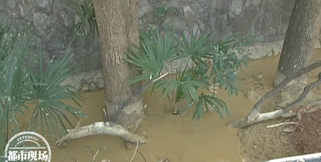 南昌：洗砂场排放泥浆水！村民反映后依旧作业，环保部门介入调查(图1)