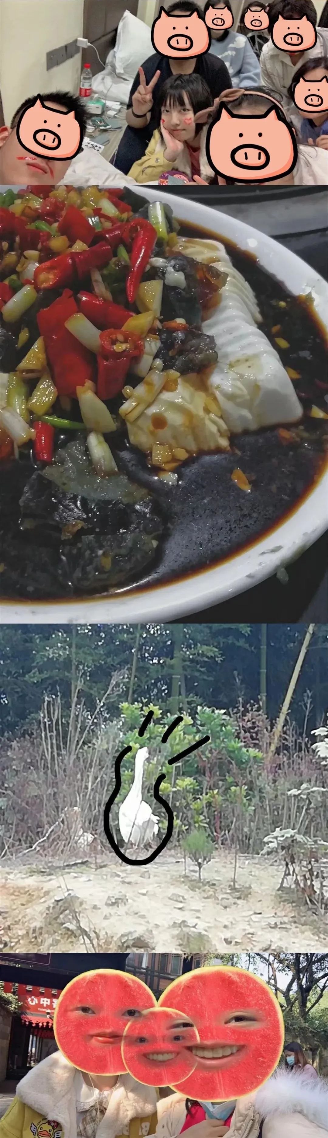 18岁双相女孩成长路：经历过青春的洗礼，不成熟的小孩，终于长大(图15)