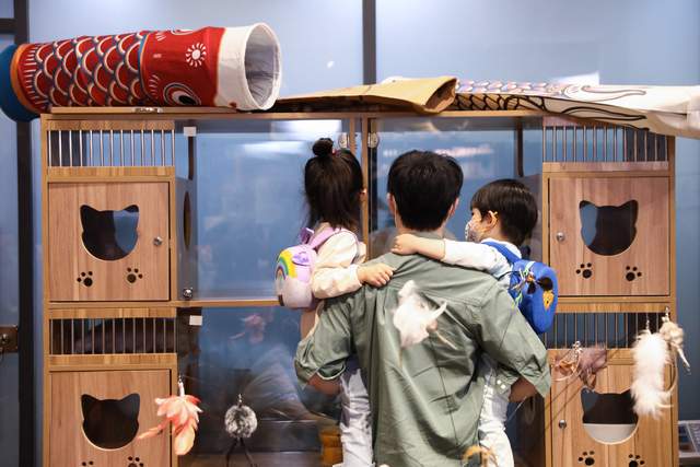 《爸爸当家》魏晨聊“塑料”父子情王祖蓝自曝是女儿“厨余机”(图5)