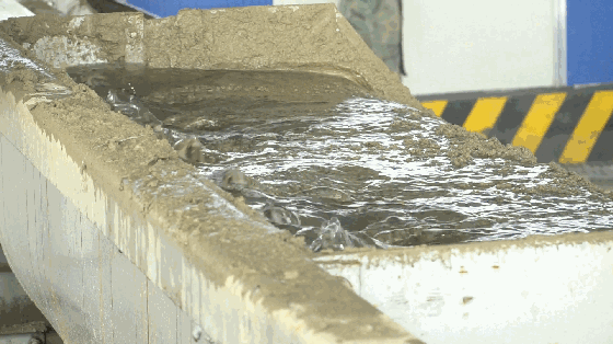 带式压滤机的洗砂污水干排处理00：15(图2)