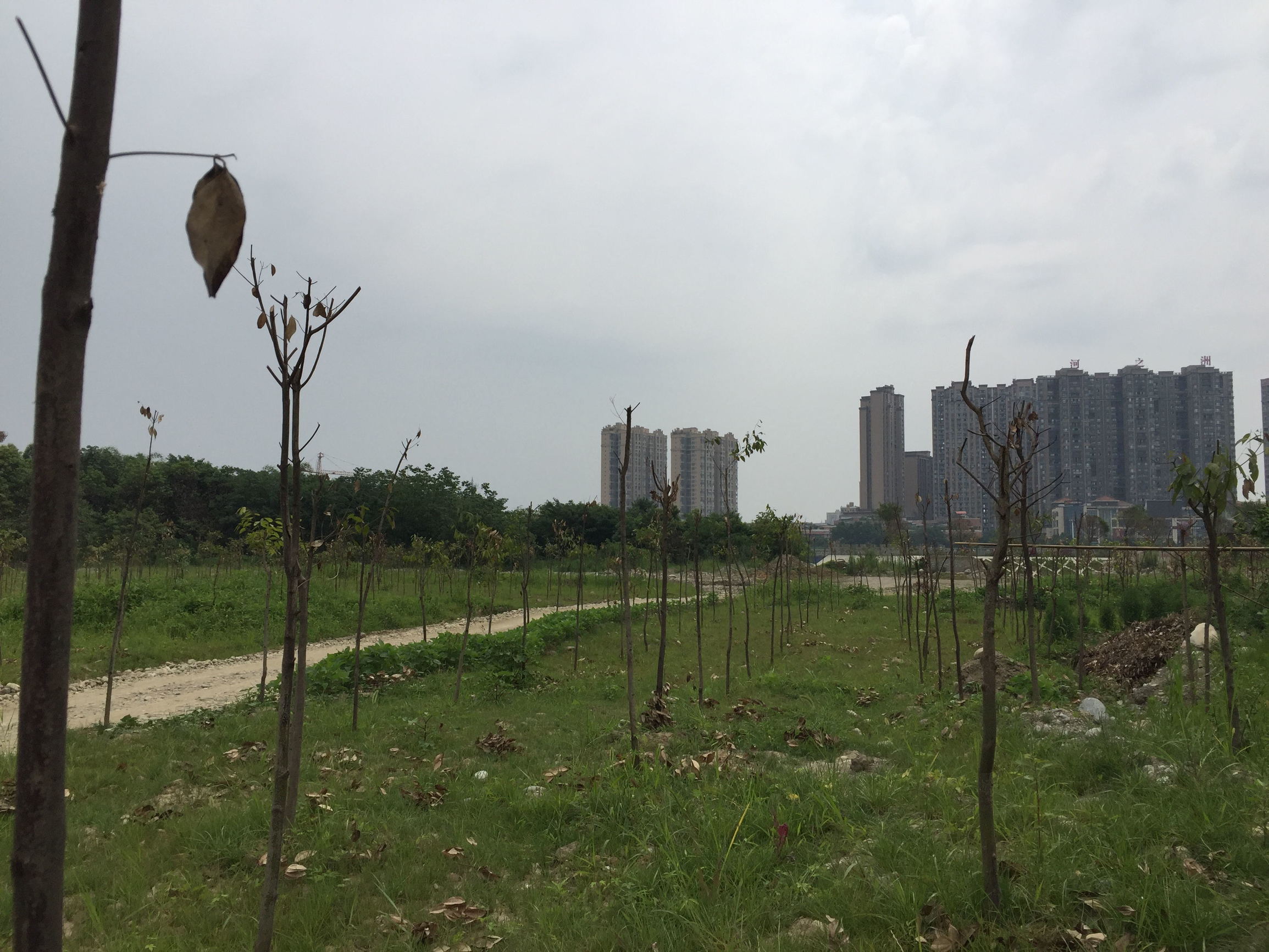 集中清理整顿7家砂场崇州西河重现河清岸绿(图1)