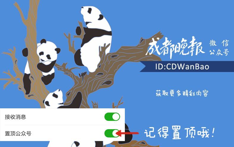 集中清理整顿7家砂场崇州西河重现河清岸绿(图4)