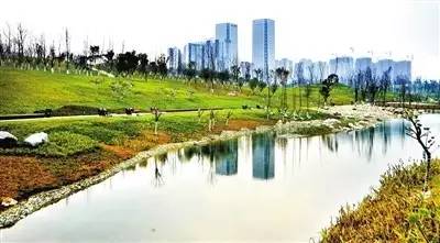 分享丨跟随河长去巡河百人团体验报名：成都邀你体验治水亲水互动(图1)