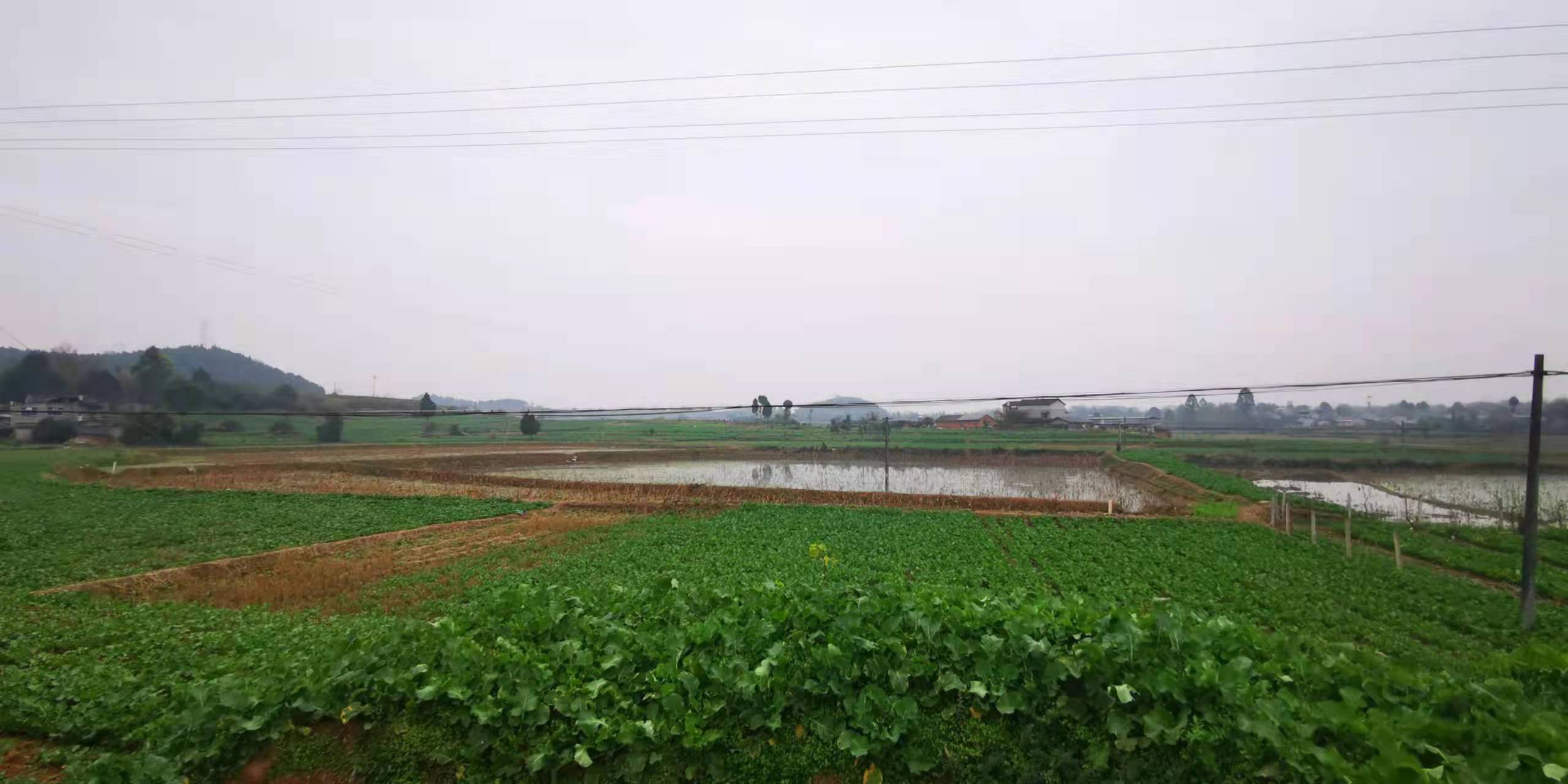 开挖耕地建房、挖砂、养鱼……这五起破坏耕地案被起诉了(图1)