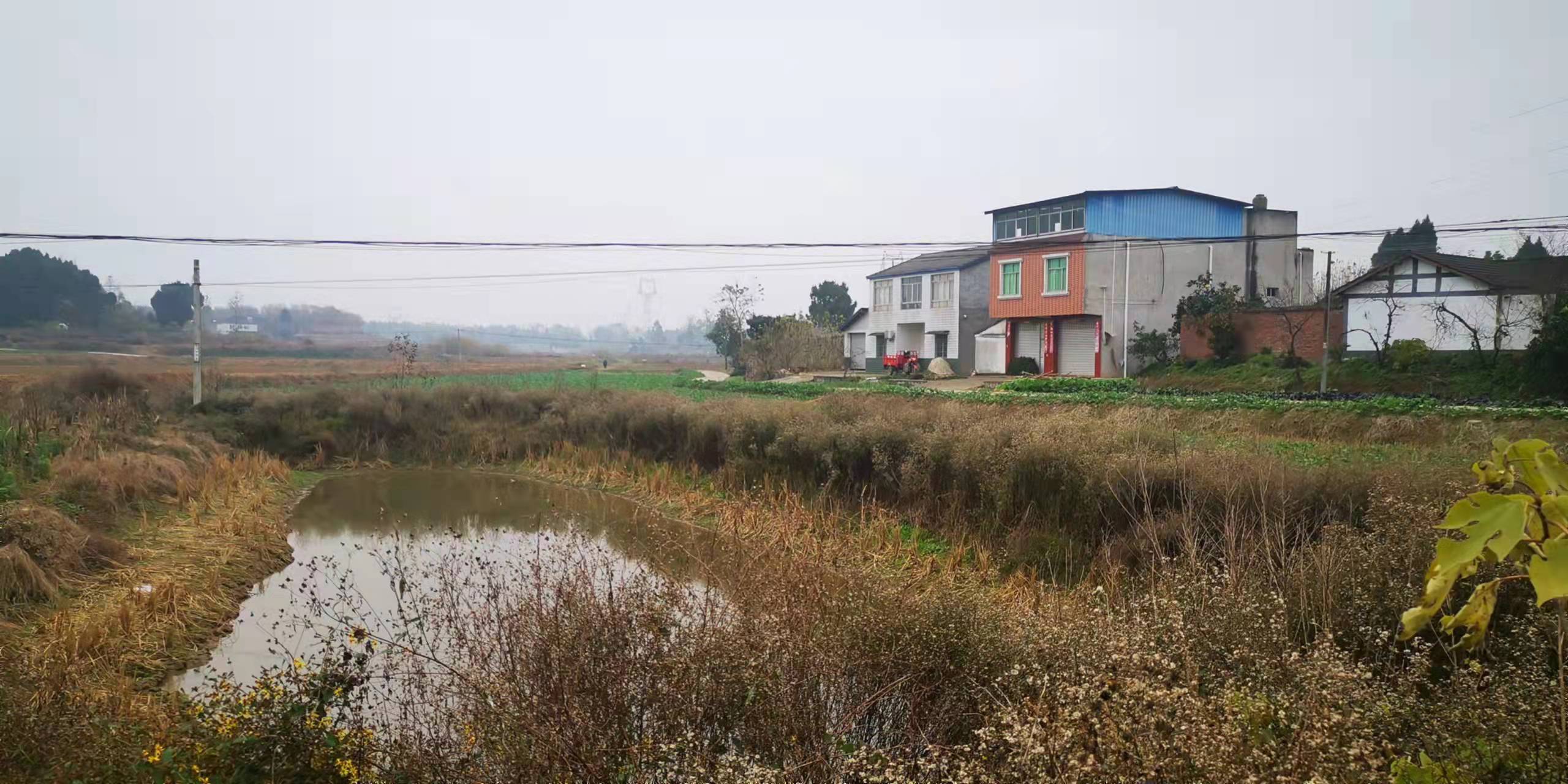 开挖耕地建房、挖砂、养鱼……这五起破坏耕地案被起诉了(图2)