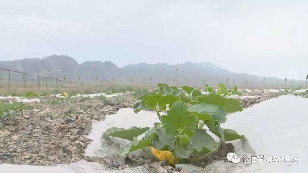 甘肃盛浩诚砂石场：环保高效规范化生产推动企业绿色发展(图7)