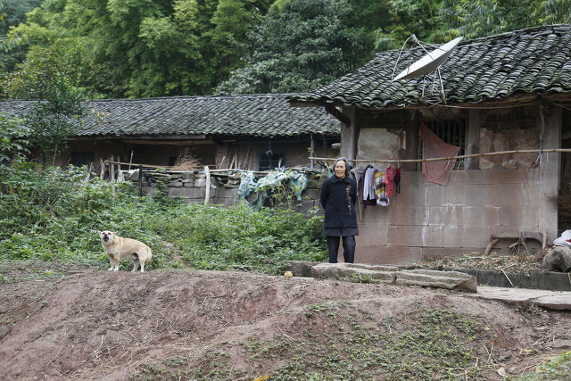 奔小康生活小故事(图3)