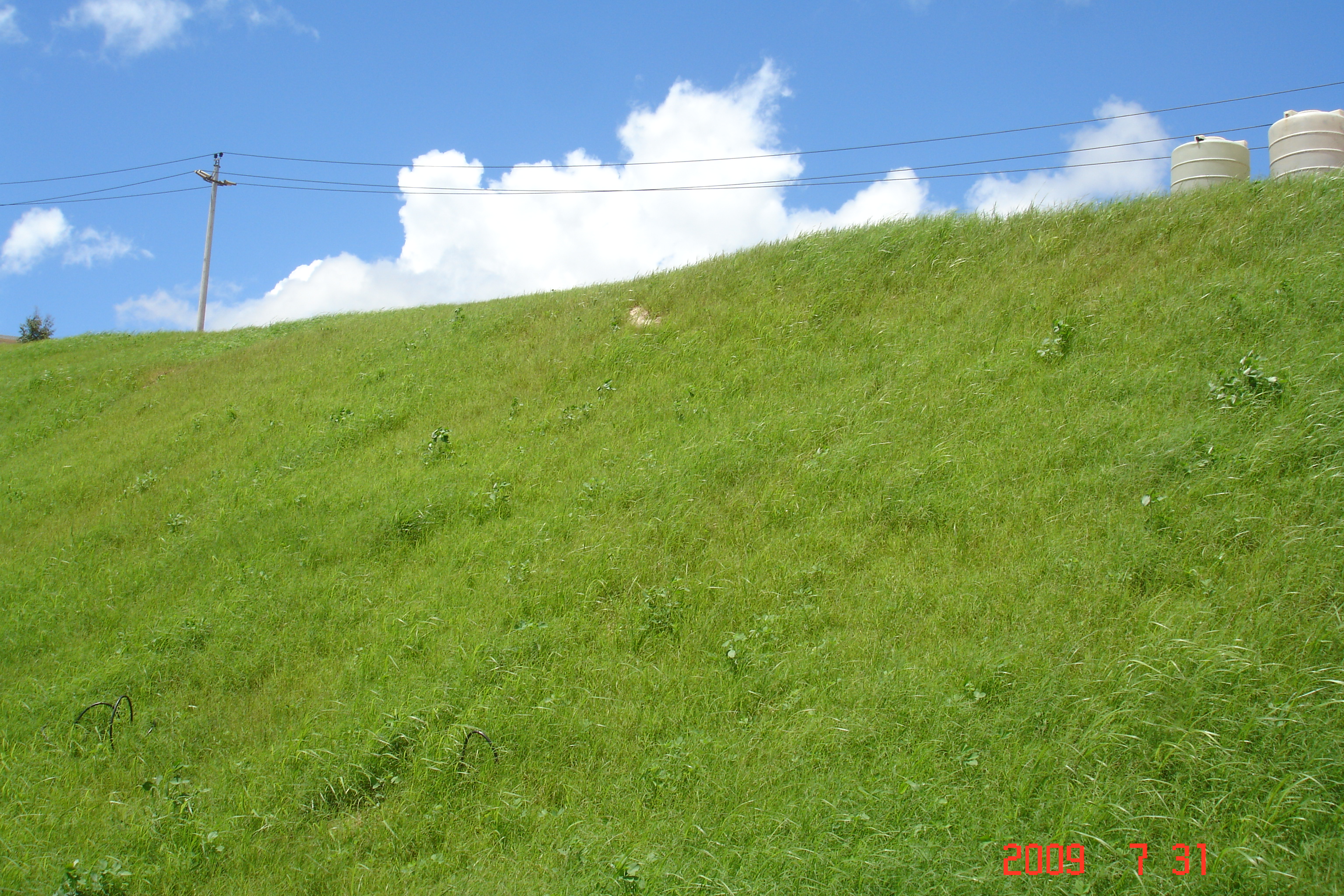 草在深圳水径大型矿山群水土生态修复中的应用(图1)
