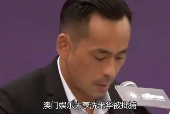 洗米华涉6800亿被捕，陈慧玲贱卖豪宅处理鸡毛，刘碧丽成最后赢家(图1)