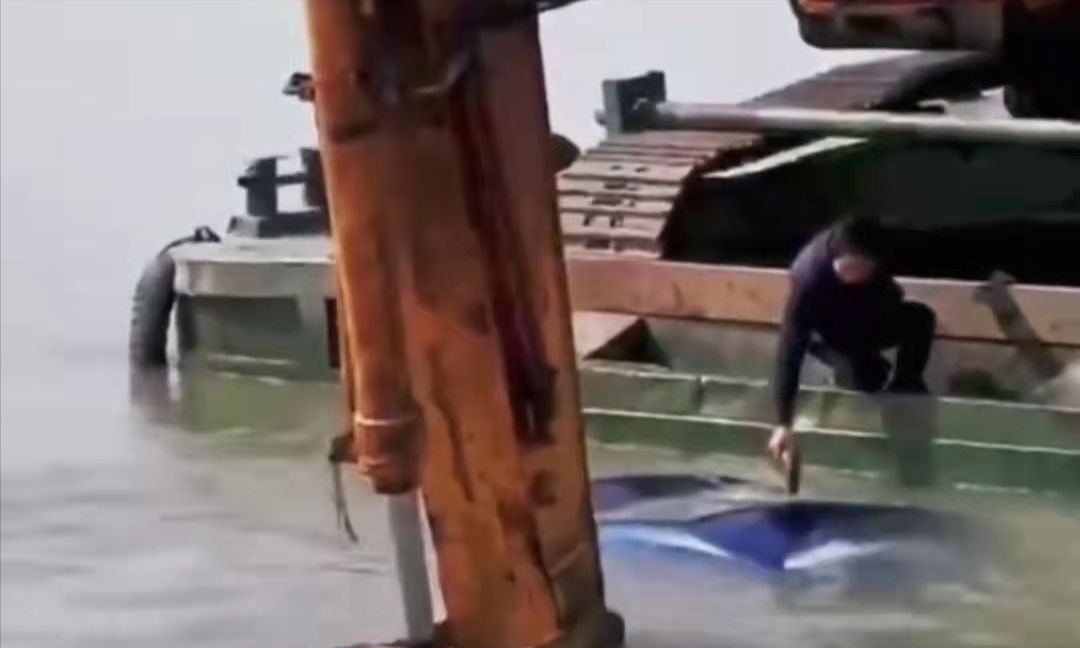 车辆冲入太湖即将沉没，挖掘机司机用铲斗托住，敲窗救出一家3口(图5)