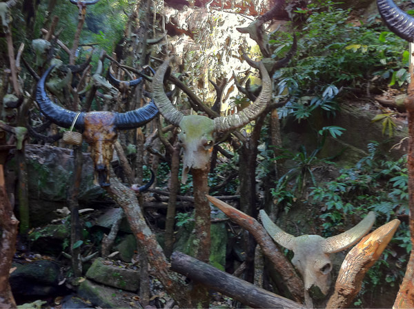 印象彩云之南—这是十多年前的一篇文章，可以启示今天的云南旅游(图3)