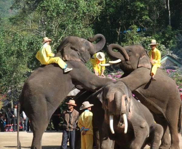 印象彩云之南—这是十多年前的一篇文章，可以启示今天的云南旅游(图4)