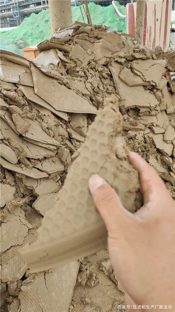 打桩泥浆处理压滤机(图2)