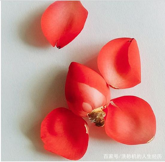 矿石脱泥洗砂机@听花开的声音，色不迷人人自迷，酒不醉人人自醉(图1)