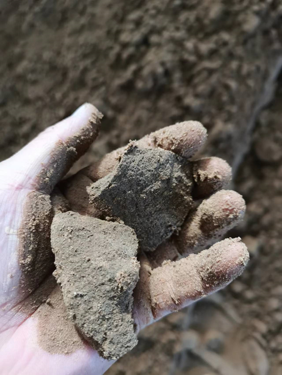 全国几个地区某搅拌站机制砂对比(图6) 全国几个地区某搅拌站机制砂对比(图6)