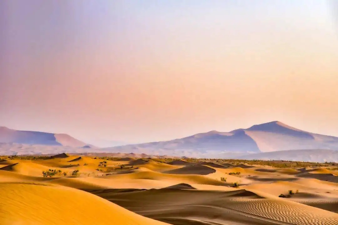 穿越“死亡之海”的新疆沙漠公路即将建成！砂石骨料功不可没(图1)