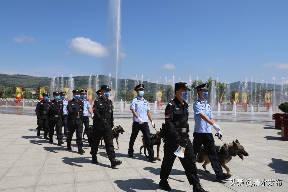 【向人民报告】数说2020，清水公安这份成绩单请您查收！(图16)