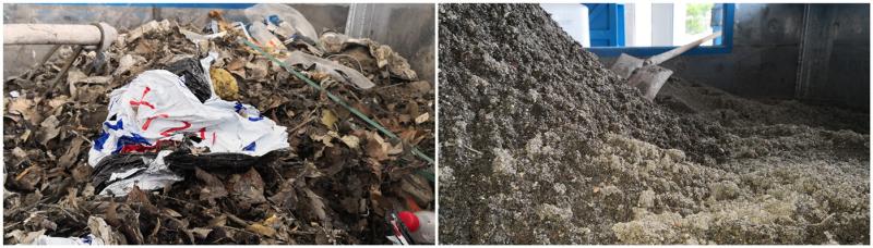 下水道臭泥也有人抢着要？上海中心城区这项“第一个”一天能“吃”60吨！(图7)