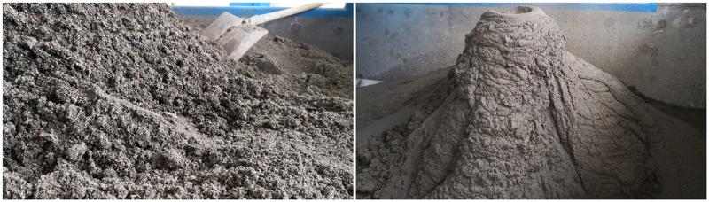 下水道臭泥也有人抢着要？上海中心城区这项“第一个”一天能“吃”60吨！(图9)