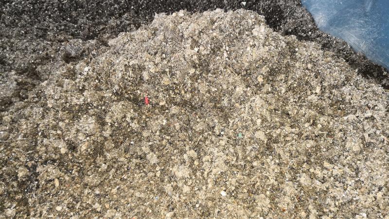 下水道臭泥也有人抢着要？上海中心城区这项“第一个”一天能“吃”60吨！(图8)