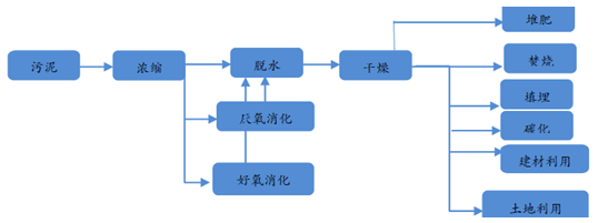 下水道臭泥也有人抢着要？上海中心城区这项“第一个”一天能“吃”60吨！(图11)