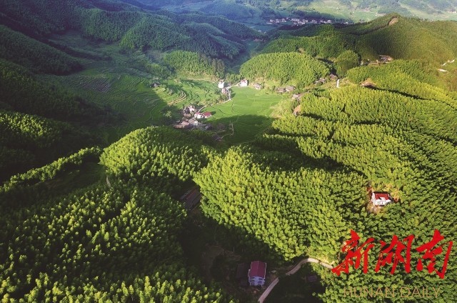 绥宁：奋进七十载绿洲展华彩(图2)