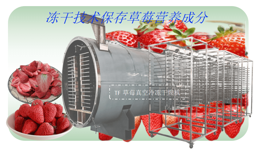 草莓冻干技术和草莓冻干机成套设备(图1)