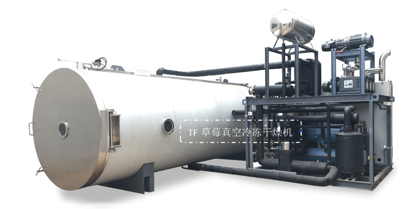 草莓冻干技术和草莓冻干机成套设备(图2)