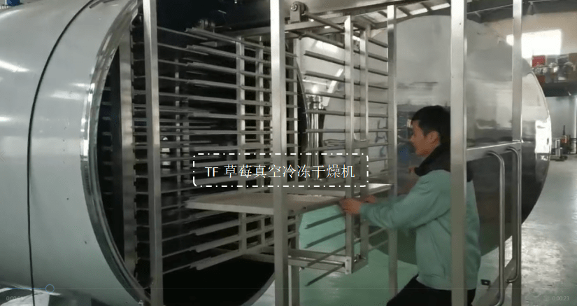 草莓冻干技术和草莓冻干机成套设备(图3)