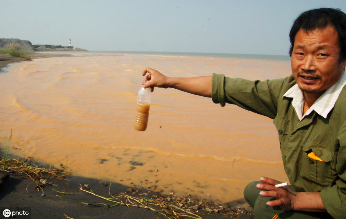 当洗砂厂遭遇环保(图2)