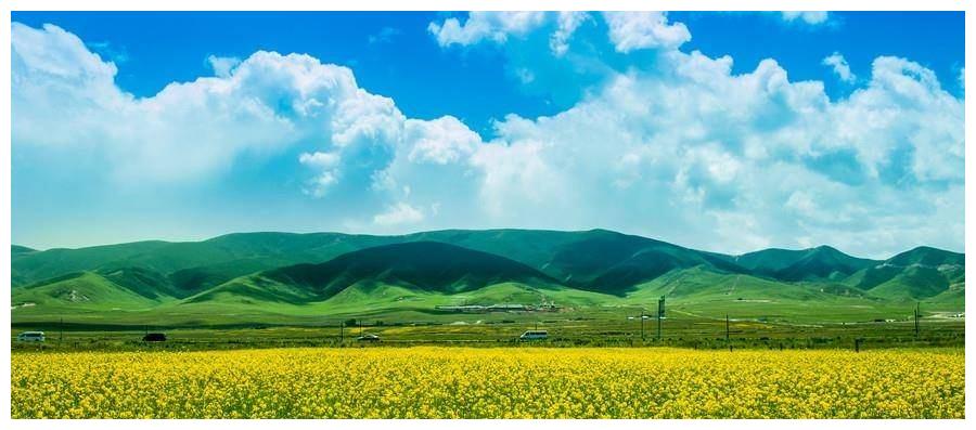 熬到小年，运势大洗牌，横财一波接一波，翻身做富人的三属相(图1)