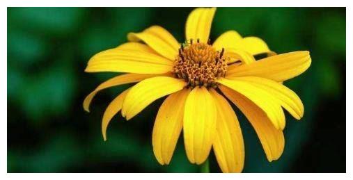 熬到小年，运势大洗牌，横财一波接一波，翻身做富人的三属相(图2)