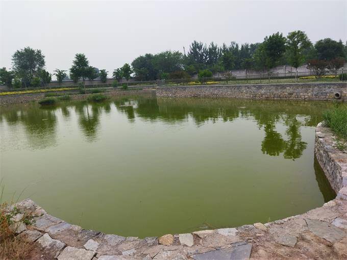 石家庄养老院养老公寓哪家好？河北仁爱医养服务集团养老机构(图36)