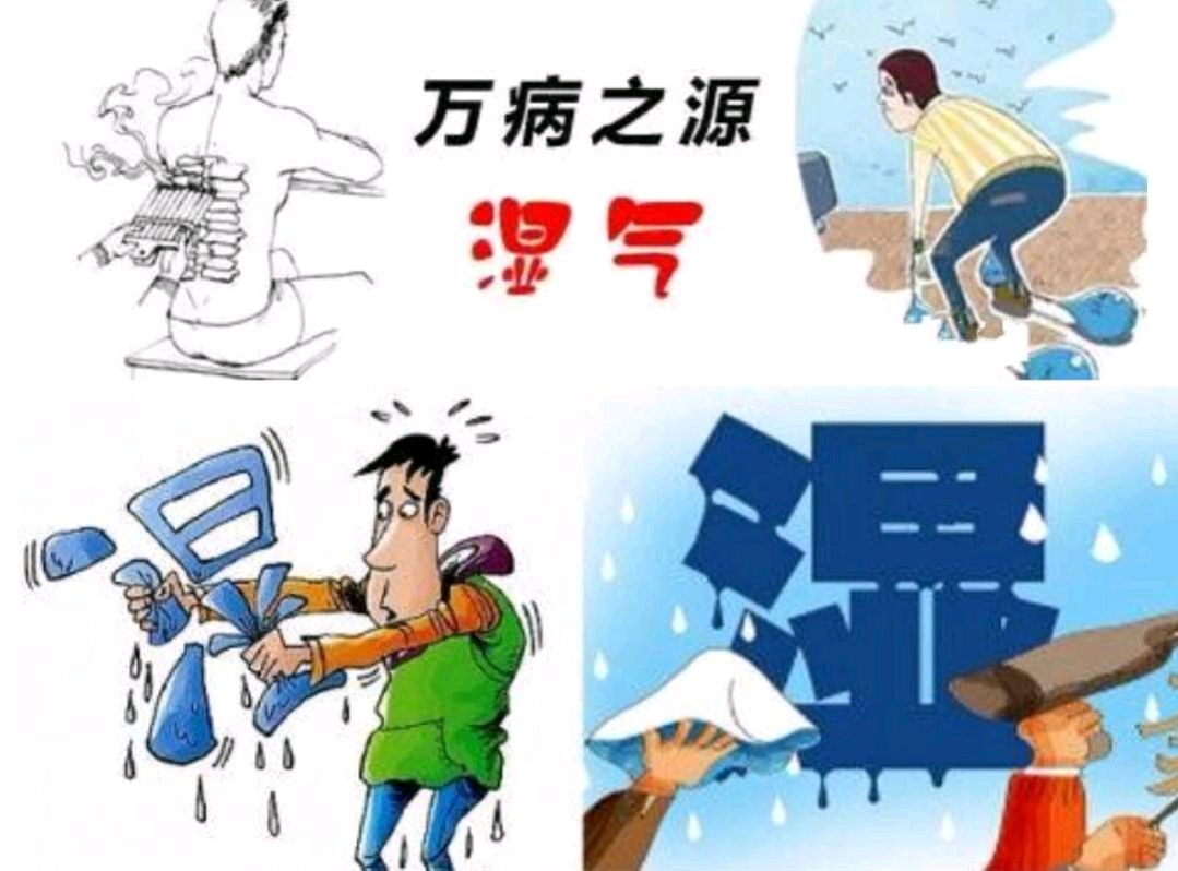 夏天是祛湿好时机，3种食材一起煮着吃，再狡猾的湿气也能揪出来(图1)