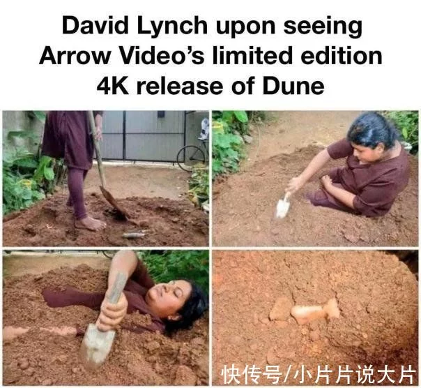 10亿投资打水漂？它真的跌落神坛了吗？(图29)