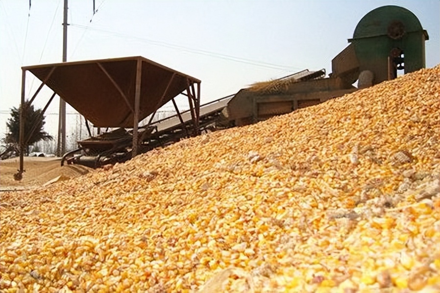 5.10镇江财经早报朱方公司提质增效加速跑(图11) 5.10镇江财经早报朱方公司提质增效加速跑(图11)