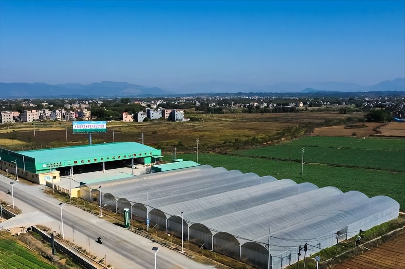 5.10镇江财经早报朱方公司提质增效加速跑(图14) 5.10镇江财经早报朱方公司提质增效加速跑(图14)