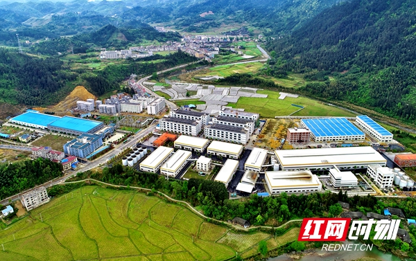 壮丽70年丨绥宁：奋进七十载绿洲展华彩(图1)