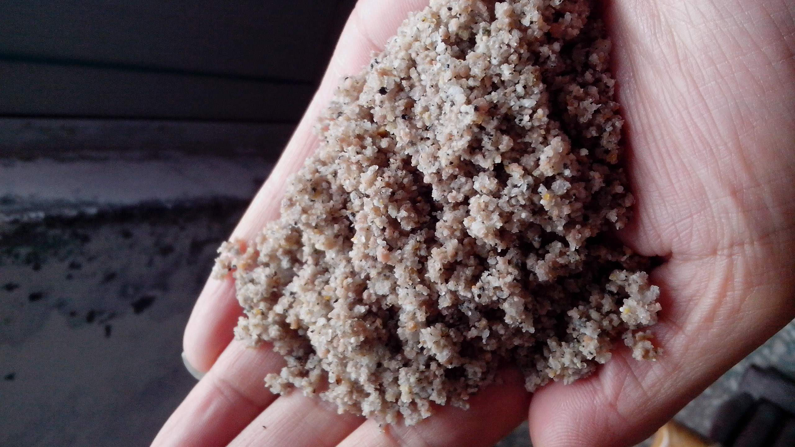 洗沙机一天能洗多少吨沙？前景怎么样？(图5)