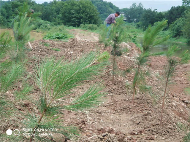 湘潭县依法处置一洗砂场(图4)