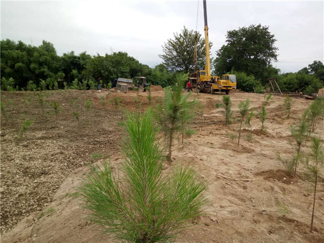 湘潭县依法处置一洗砂场(图5)