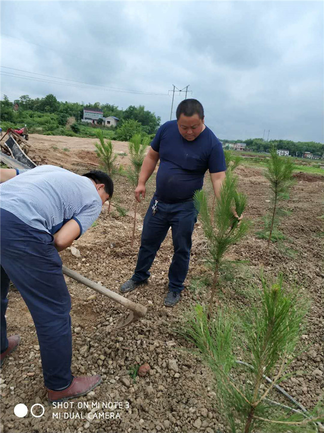 湘潭县依法处置一洗砂场(图3)